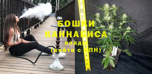 тгк Володарск